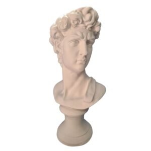 Busto de Davi M 41x22 ref.173