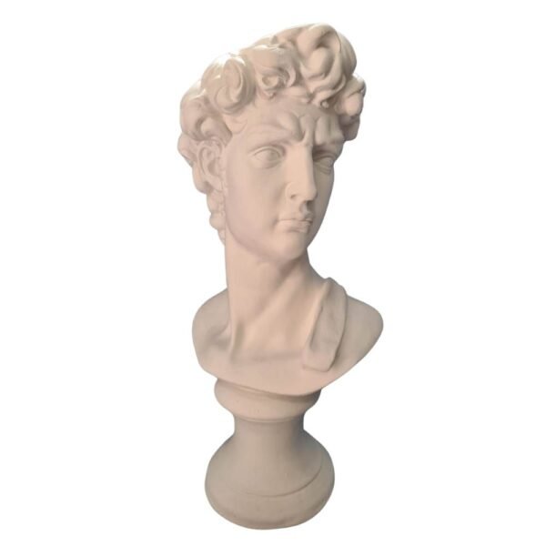 Busto de Davi M 41x22 ref.173