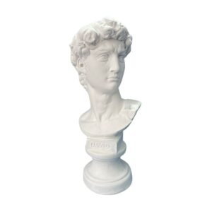 Busto de Davi P 19x31 ref.177