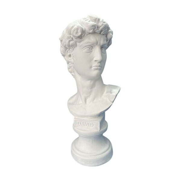 Busto de Davi P 19x31 ref.177