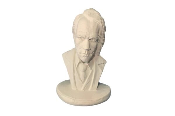 Busto Do Coringa 26x18 ref.418