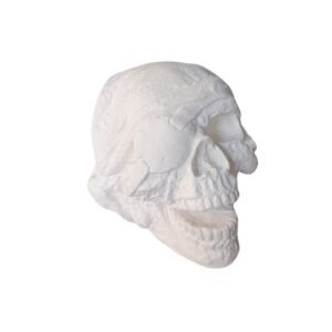 Caveira Pirata 12x15 ref.273