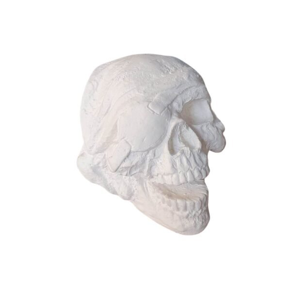 Caveira Pirata 12x15 ref.273