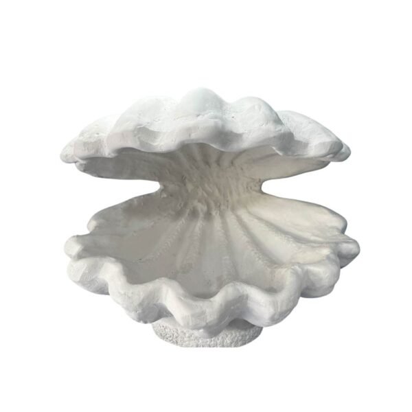 Concha Fechada M 28x37 Ref. 578