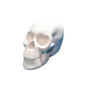 Cranio PP 9x5 ref.480