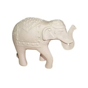 Elefante Indiano 16x21 ref.349
