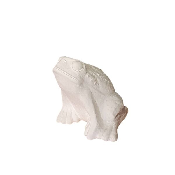 Sapo 20x25 ref.336
