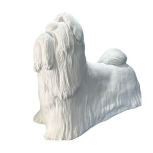 Shih tzu Pelo Longo 29x38 Ref. 576