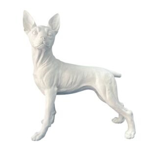 Pinscher G 32x40 Ref. 568