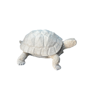 Jabuti 30x21 Ref. 652