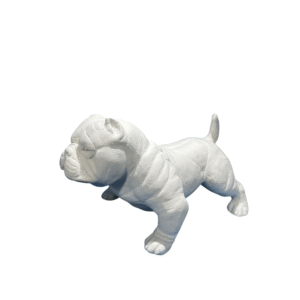 Mini American Bully 14x24 Ref. 646