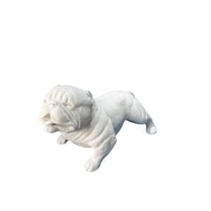 Mini American Bully Lingua 14x24 Ref. 647