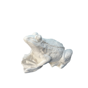 Sapo M 14x23 Ref. 653