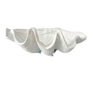 Concha Única G 21x70 Ref. 693