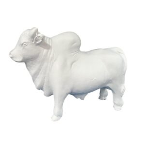 Boi Estilo Zebu PP 22x30 Ref. 743