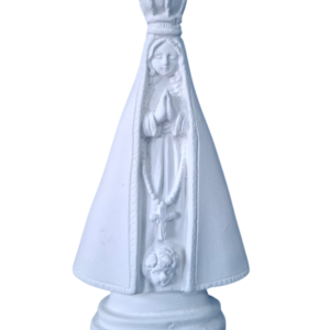 N.S. Aparecida 16x09 Ref. 785