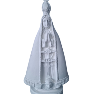 N.S. Aparecida 20x10 Ref. 784
