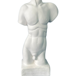 Torso Masculino 21x12 Ref. 872