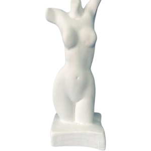 Torso Feminino 22x09 Ref. 873