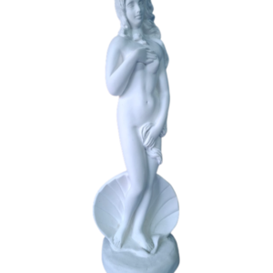 Venus Concha G 36x12 Ref. 864
